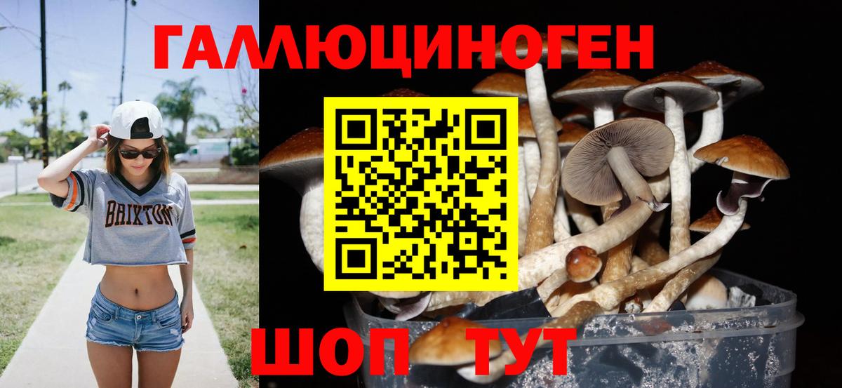 Казань  Галлюциногенные грибы GOLDEN TEACHER  Галлюциногенные грибы Cubensis  Вход с VPN 